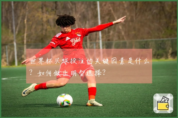 世界杯买球投注的关键因素是什么？如何做出明智选择？