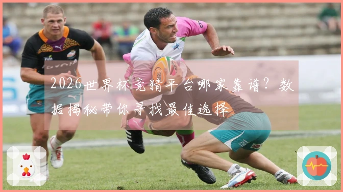 2026世界杯竞猜平台哪家靠谱？数据揭秘带你寻找最佳选择