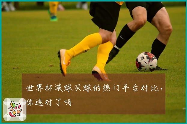 世界杯滚球买球的热门平台对比，你选对了吗