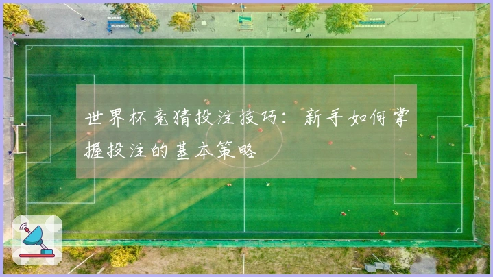 世界杯竞猜投注技巧：新手如何掌握投注的基本策略
