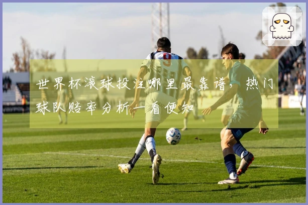 世界杯滚球投注哪里最靠谱，热门球队赔率分析一看便知