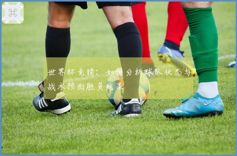 世界杯竞猜：如何分析球队状态与战术预测胜负结果