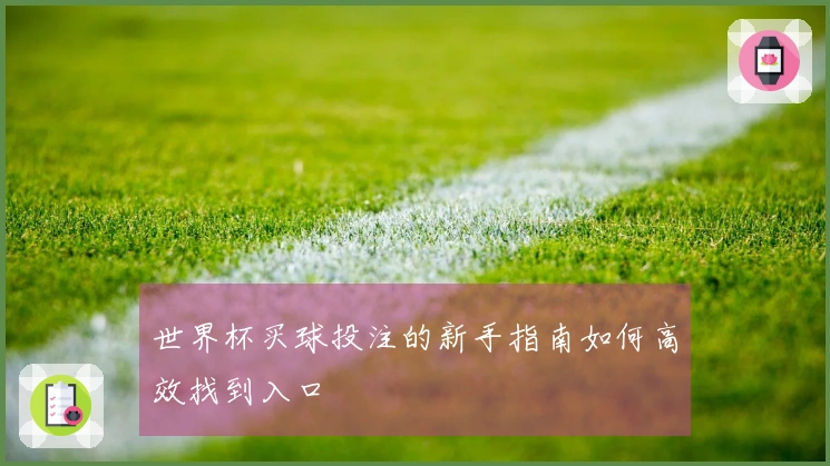 世界杯买球投注的新手指南如何高效找到入口
