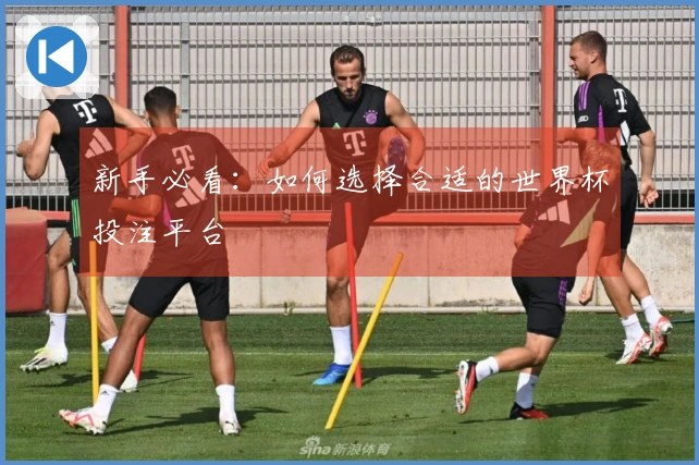 新手必看：如何选择合适的世界杯投注平台