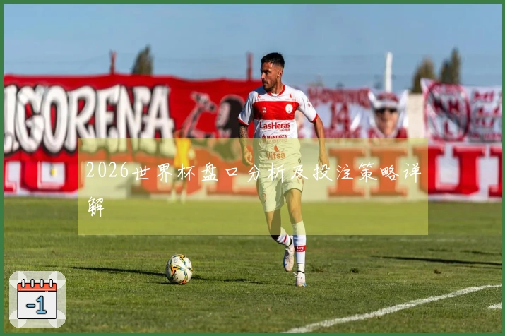 2026世界杯盘口分析及投注策略详解