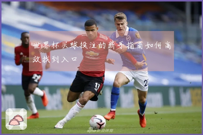 世界杯买球投注的新手指南如何高效找到入口